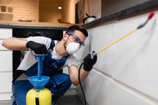 Best Emergency Pest Control  in Aldine, TX