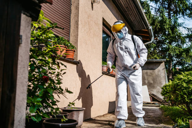 Best Affordable Pest Control Services  in Aldine, TX