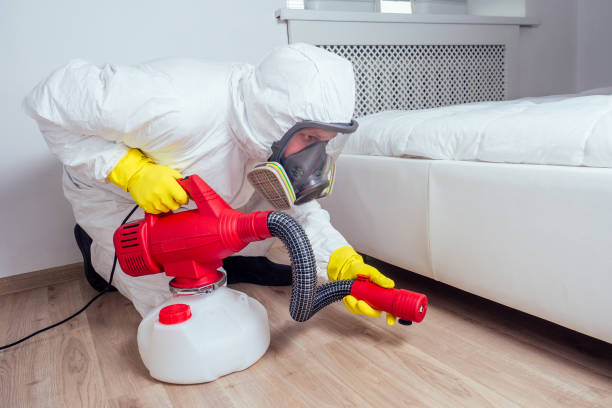 Pest Prevention Services in Aldine, TX