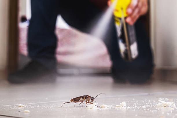 Best Residential Pest Control  in Aldine, TX