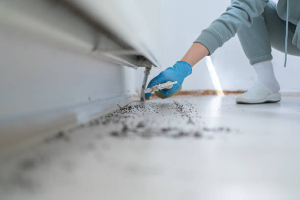 Best Best Pest Control Companies  in Aldine, TX